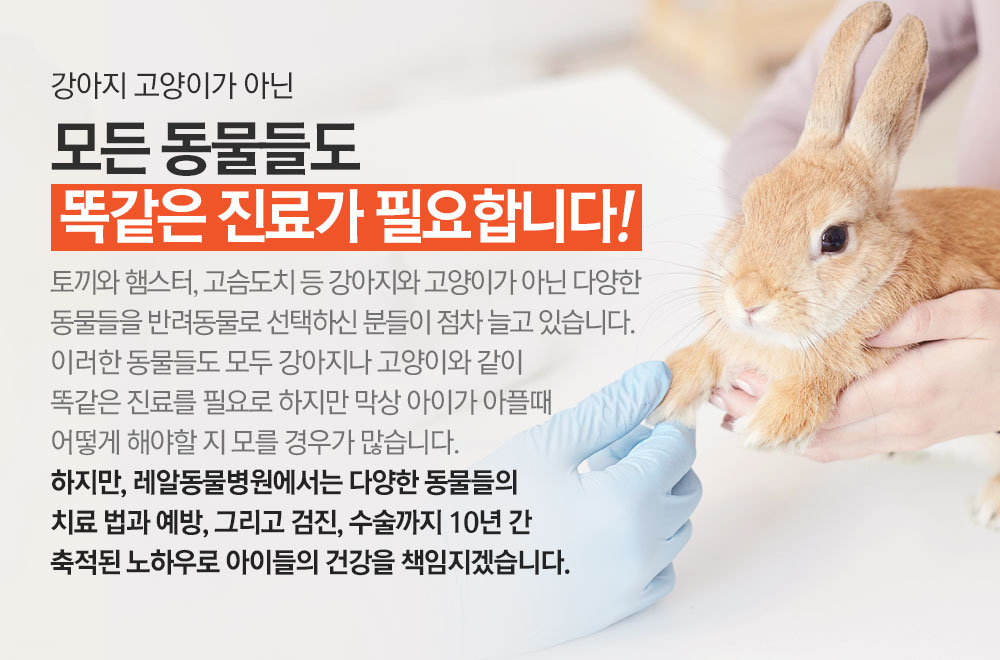 피부전문클리닉 장점