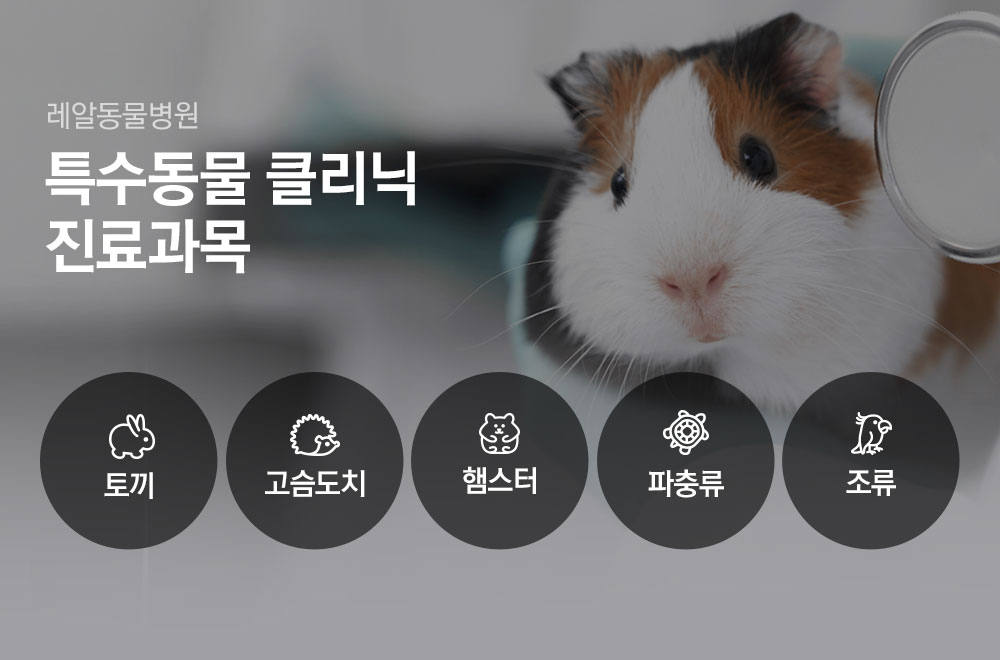 피부전문클리닉 진료과목