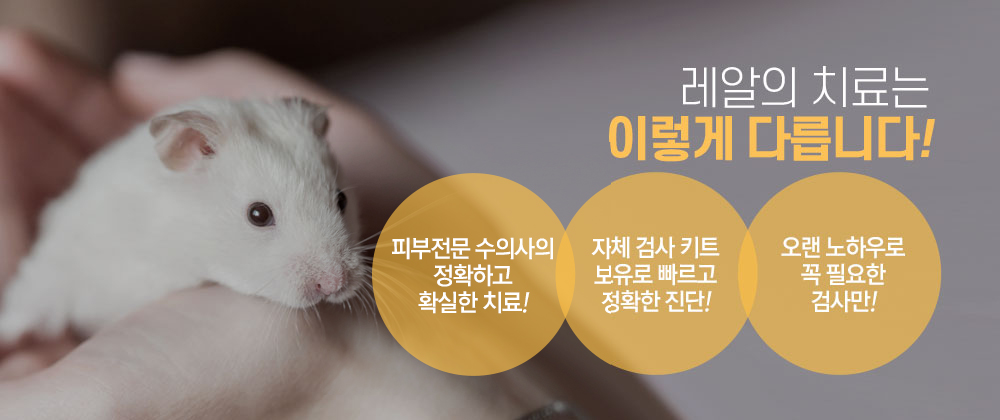 레알의 치료는 이렇게 다릅니다!