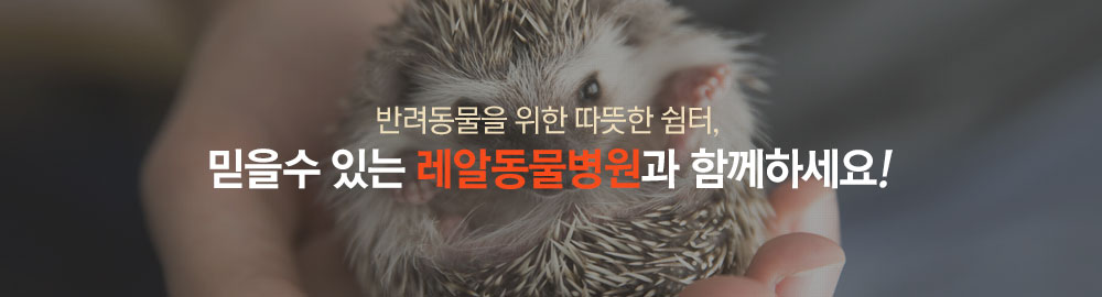 반려동물을 위한 따뜻한 쉼터, 믿을 수 있는 레알 피부전문 동물병원과 함께하세요!