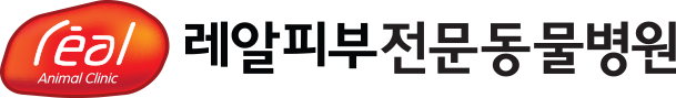레알 피부전문 동물병원