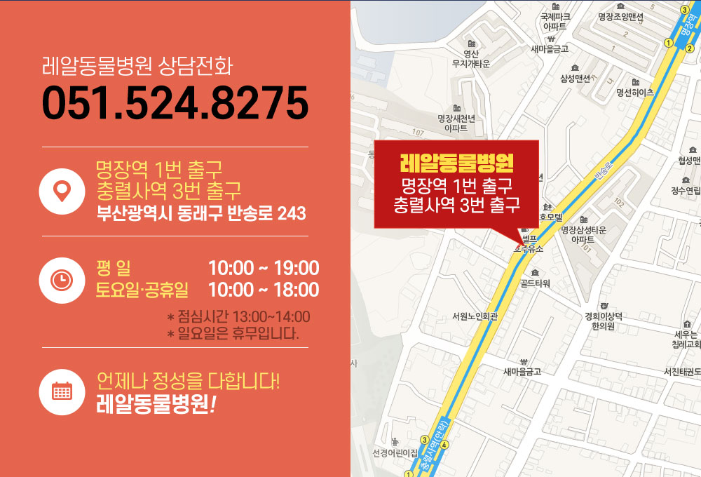 레알 피부전문 동물병원의 전화번호, 영업시간 및 위치안내