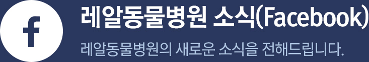 레알 피부전문 동물병원 소식(facebook) 레알 피부전문 동물병원의 새로운 소식을 전해드립니다.