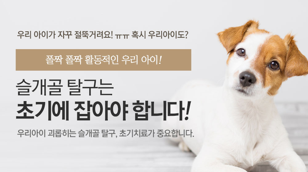 슬개골탈쿠는 초기에 잡아야 합니다!