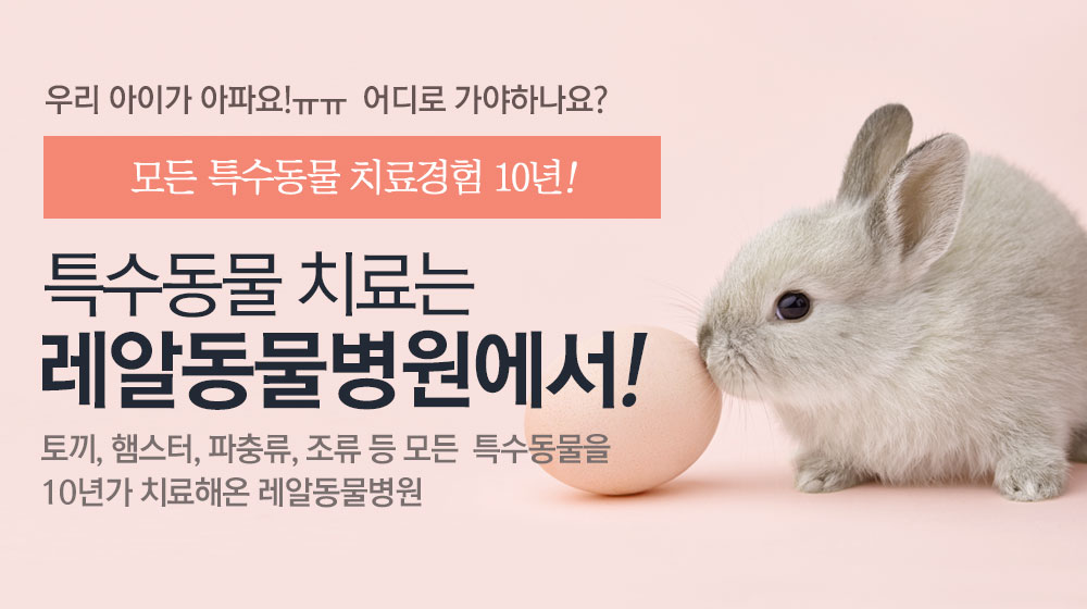 특수동물 치료는 레알 피부전문 동물병원에서!