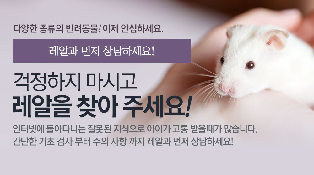 걱정하지 마시고 레알을 찾아주세요.