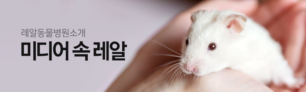 특수동물 미디어