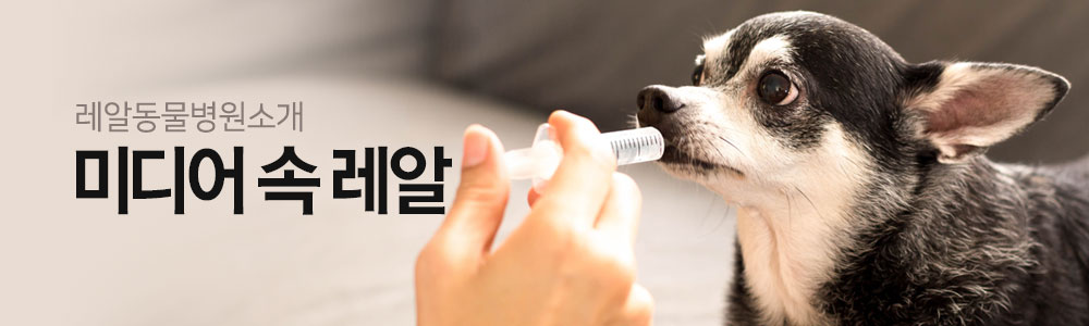 레알동물병원소개 미디어속 레알