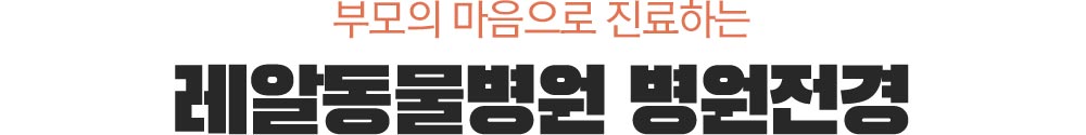 부모의 마음으로 진료하는 레알동물병원 병원전경