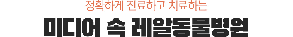 정확하게 진료하고 치료하는 미디어 속 레알동물병원