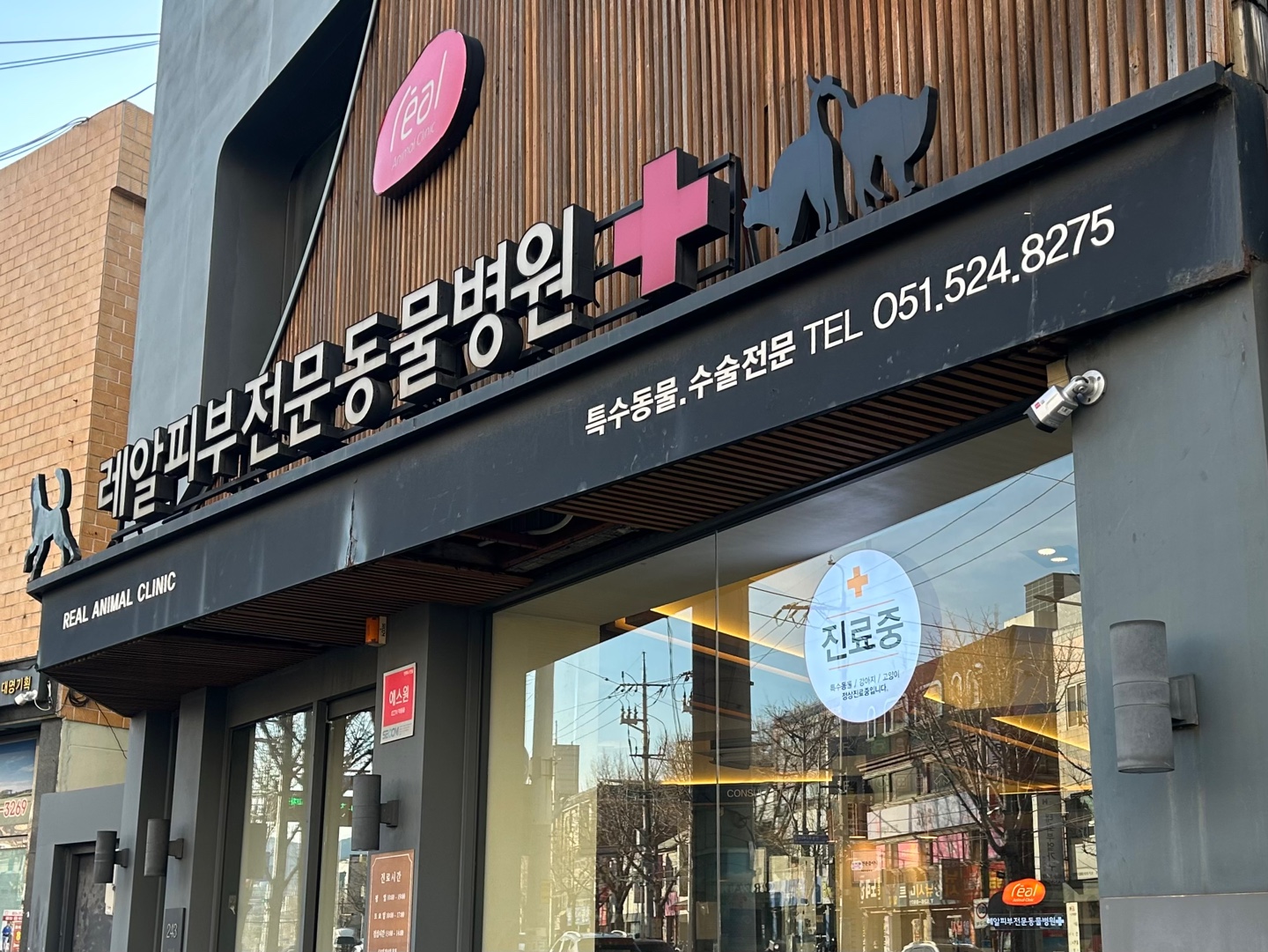 레알피부전문동물병원 외부 입구