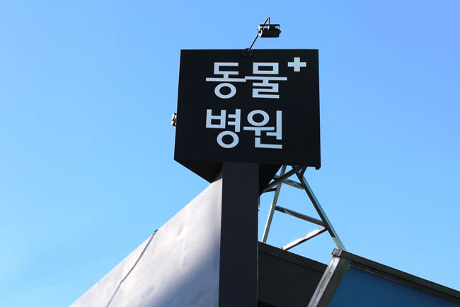 레알피부전문동물병원 외부 간판