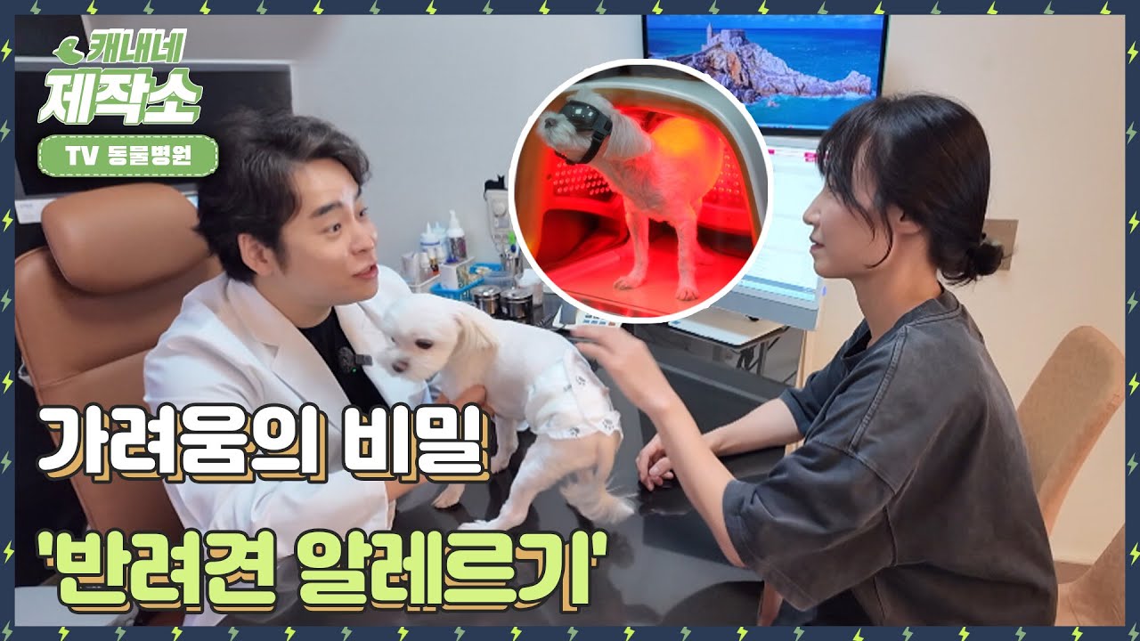 레알 미디어 영상 썸네일 2