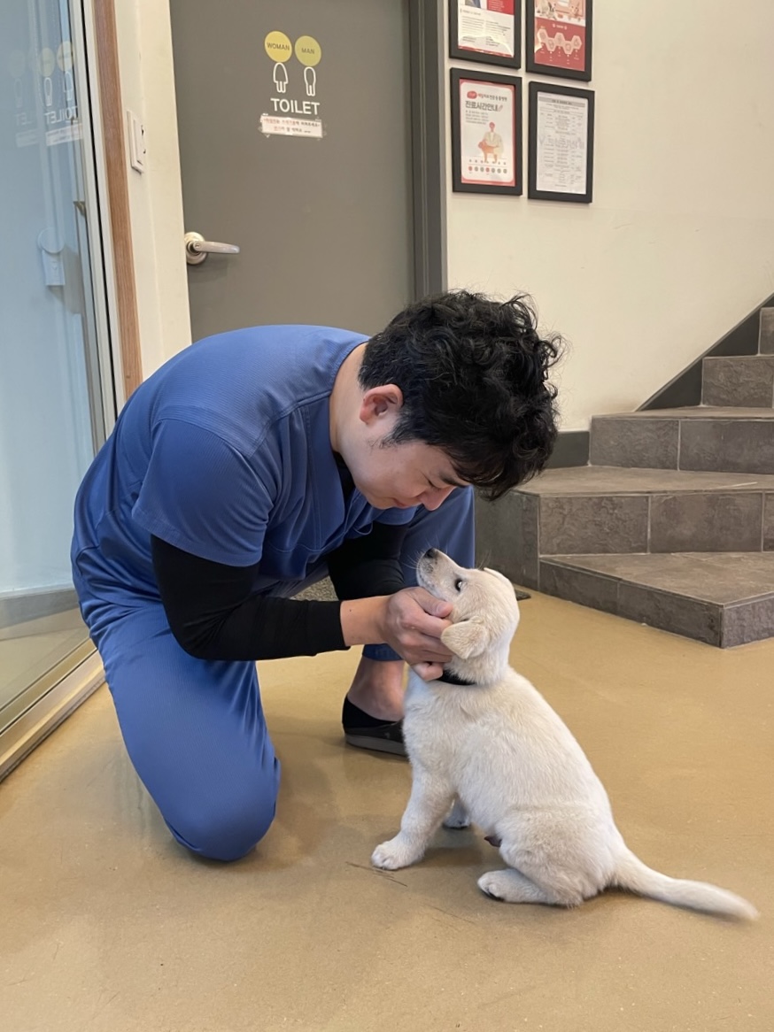 병원 강아지 02